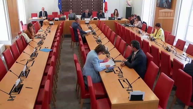 Commission des lois : Création d’une commission d'enquête sur les dysfonctionnements obstruant l’accès à une justice adaptée aux besoins des justiciables ultramarins - Mercredi 28 mai 2025