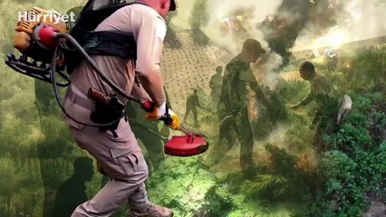 Diyarbakır'da 3 milyon 746 bin adet kök kenevir ve skunk ele geçirildi