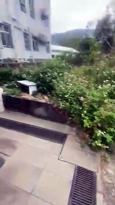 What It’s Like to Move with a Hong Kong Moving Company