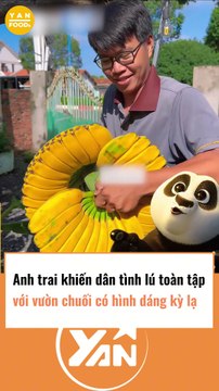 Anh trai khiến CĐM lú toàn tập vì vườn chuối có hình dáng lạ