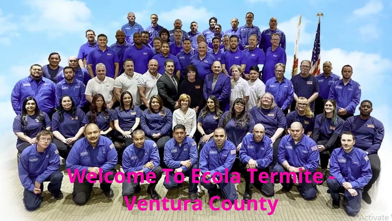 Ecola Termite - Eco Friendly Exterminator in Ventura, CA
