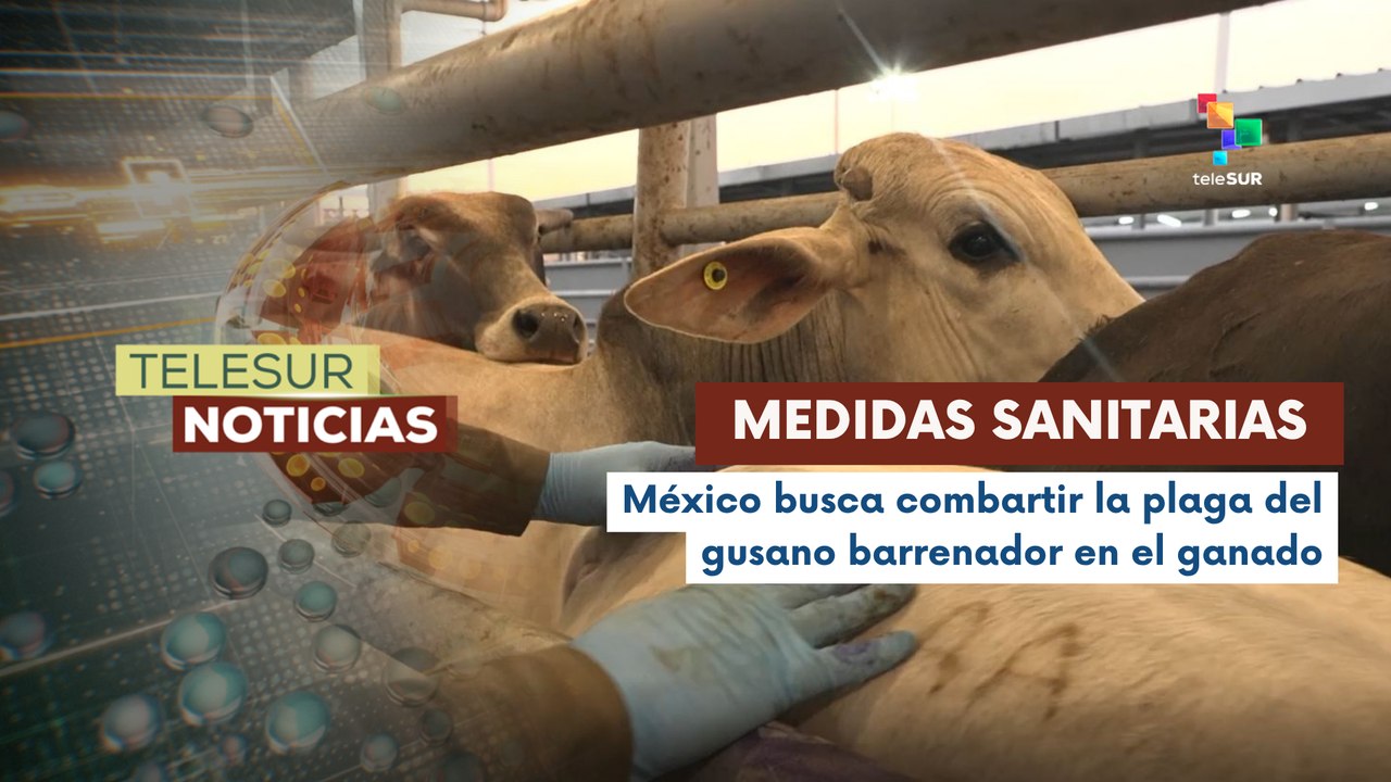 México intensificará medidas sanitarias para reabrir frontera con EE.UU.