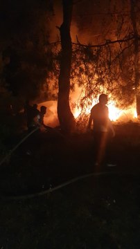 Ormanda ısınmak için yaktığı ateş ağaçlara sıçradı