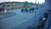 Drunk driver turns up to police station in horse and cart
