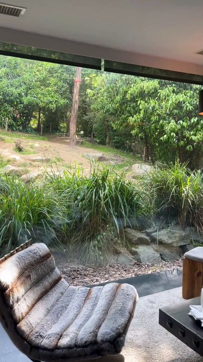 SUPERBE MOMENT avec les grizzlys