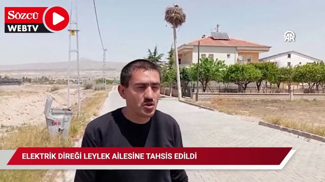 Elektrik direği leylek ailesine tahsis edildi