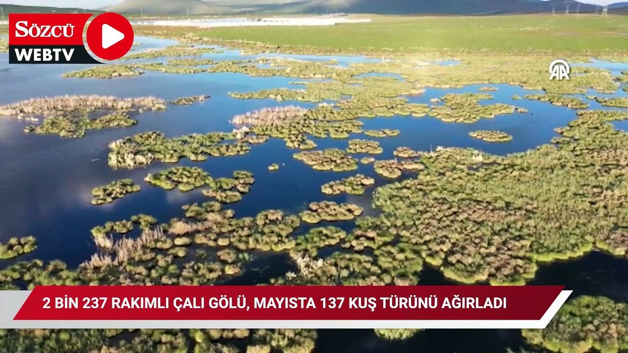 2 bin 237 rakımlı Çalı Gölü, mayısta 137 kuş türünü ağırladı