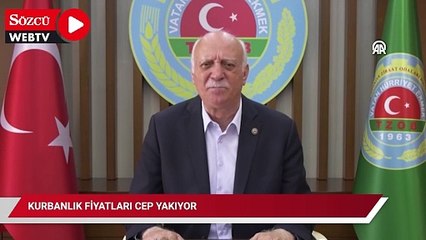 Kurbanlık fiyatları cep yakıyor