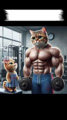 Cat funny story 😄😅🤣 #cat #funny #catfunny #catvideos #funnycatvideos #trendingshorts #viralshort