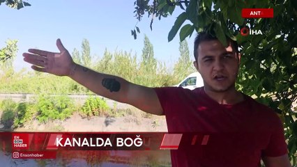 Antalya’da kanala düşen 13 yaşındaki çocuğu tüpçü kurtardı