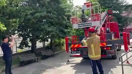 Bursa itfaiyesi mahsur kalan kedilerin yardımına koştu
