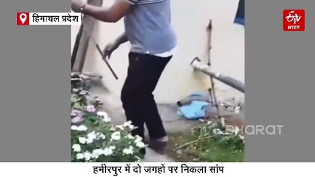 कहीं बाइक इंजन से निकला रसेल वाइपर स्नेक, तो कहीं पेयजल स्कीम में घुसा 15 फीट लंबा अजगर