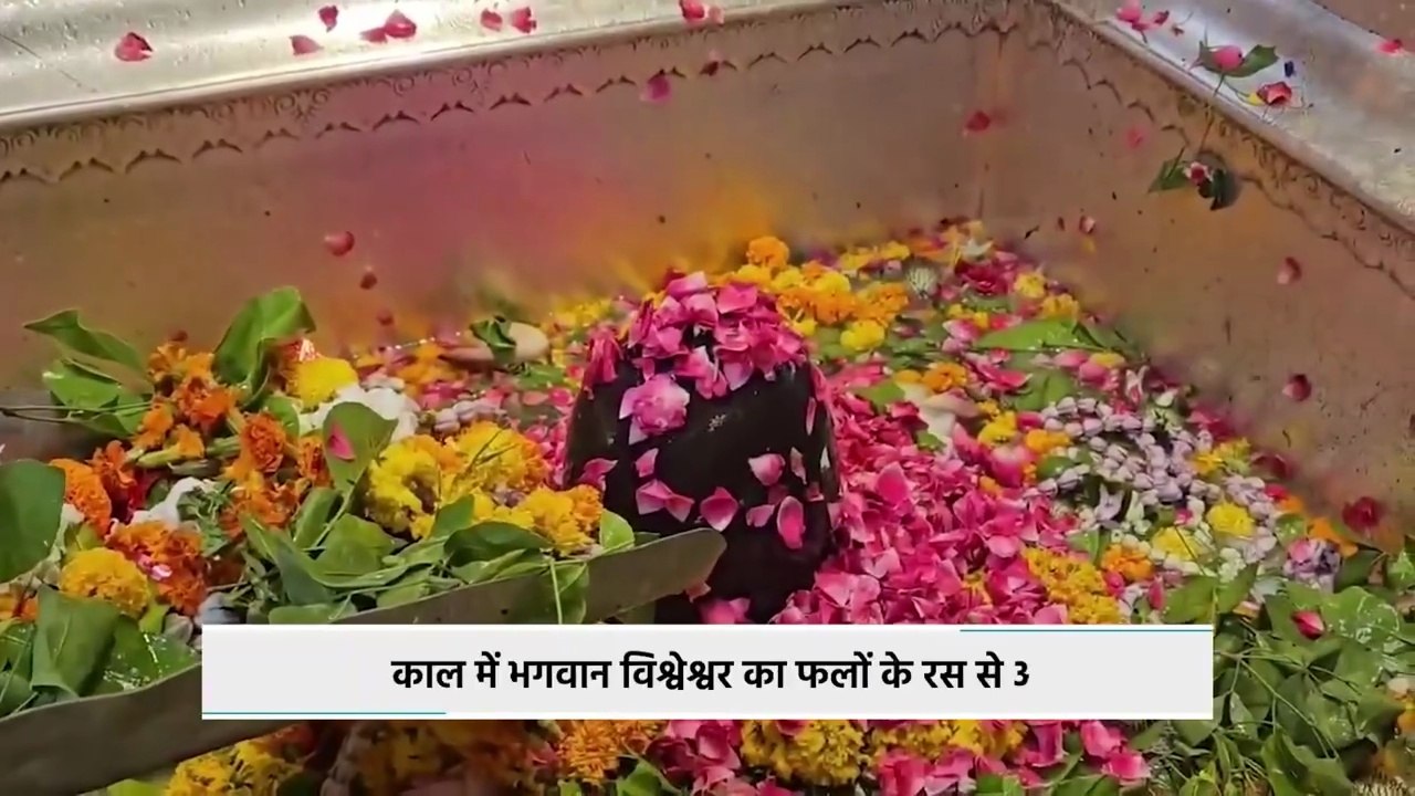 Kashi Vishwanath Dham_ नौतपा में भोले बाबा का फलों के रस से किया गया अभिषेक