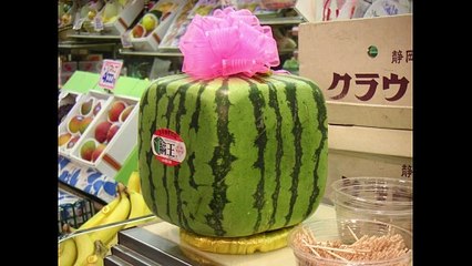 10 things that exist in Japan