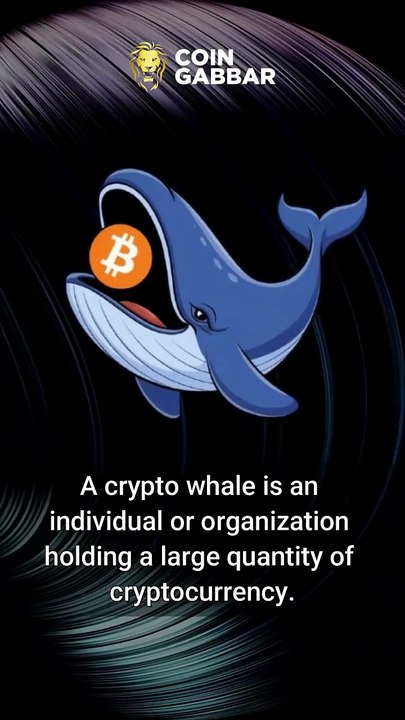 What’s a Crypto Whale, and why do they matter? 🐋