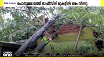കനത്ത മഴയിൽ പത്തനംതിട്ട PWD ഓഫീസിന് മുകളിൽ മരം വീണു; മേൽക്കൂര തകർന്നു