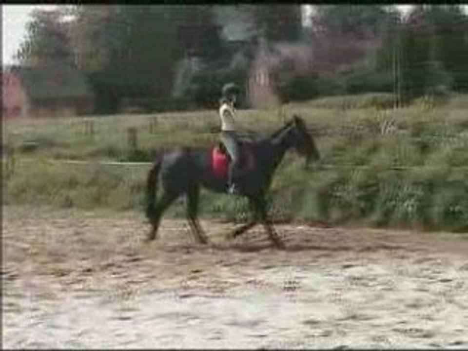 quickie en pleine forme