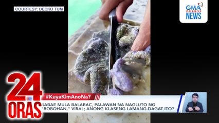 Babae mula Balabac, Palawan na nagluto ng "bobohan," viral; anong klaseng lamang-dagat ito? | 24 Oras