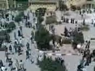 chlef(a la fac de droit)