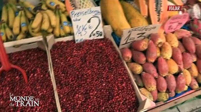 El fascinante recorrido por Austria en tren: paisajes y cultura