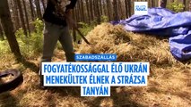 Fogyatékossággal élő ukrán menekülteket látnak el egy magyar tanyán