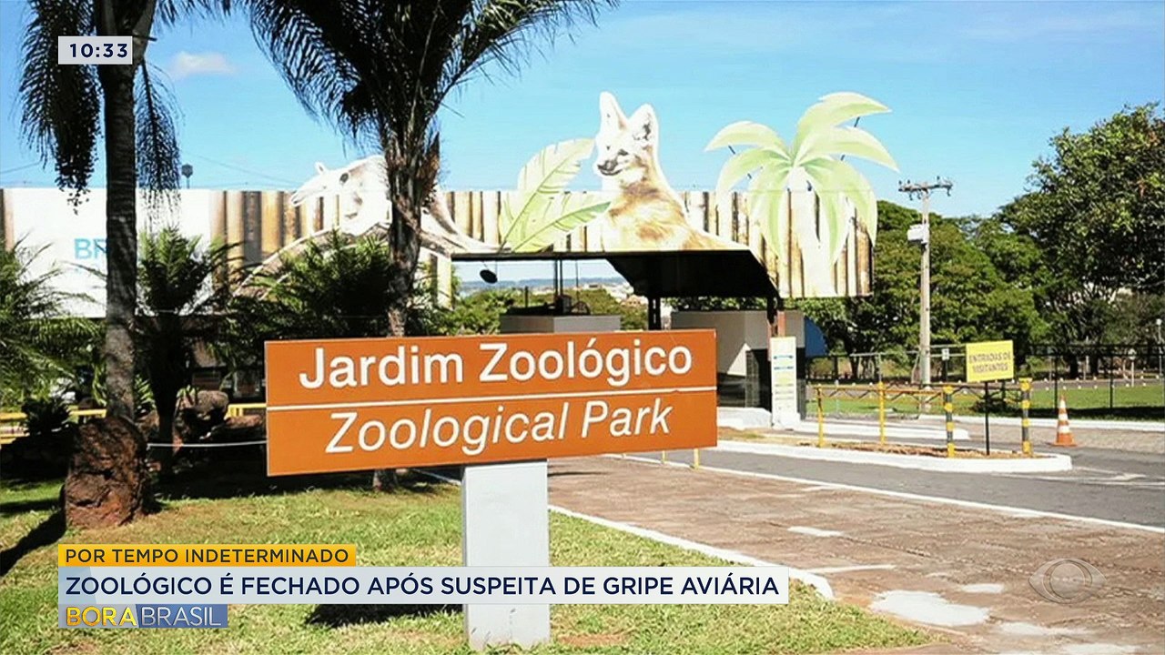 Aves são achadas mortas em zoológico de Brasília; suspeita é de gripe aviária
