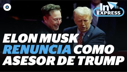 Elon Musk confirma su salida del gobierno de Trump I Reporte Indigo