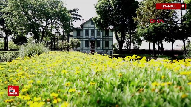EGZOTİK AĞAYıldız Sarayı'nın Hasbahçesi, ziyaretçilerini etkilemeye devam ediyorÇLAR, RENKLİ HAYVANLAR