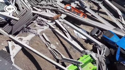 Três mortos após telhado de pavilhão para gado desabar nas Astúrias