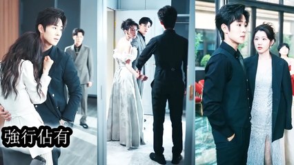 That night, she was forced to be with another man—but fate led her into her ex's bed. - Chinese  2025