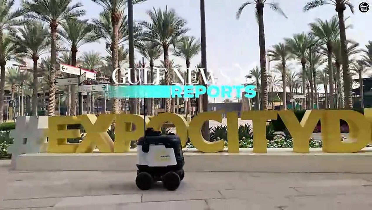Robot In Expo City