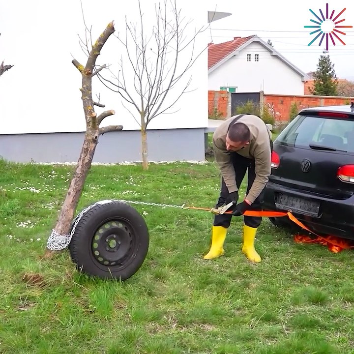 A simple hack to pull out trees!