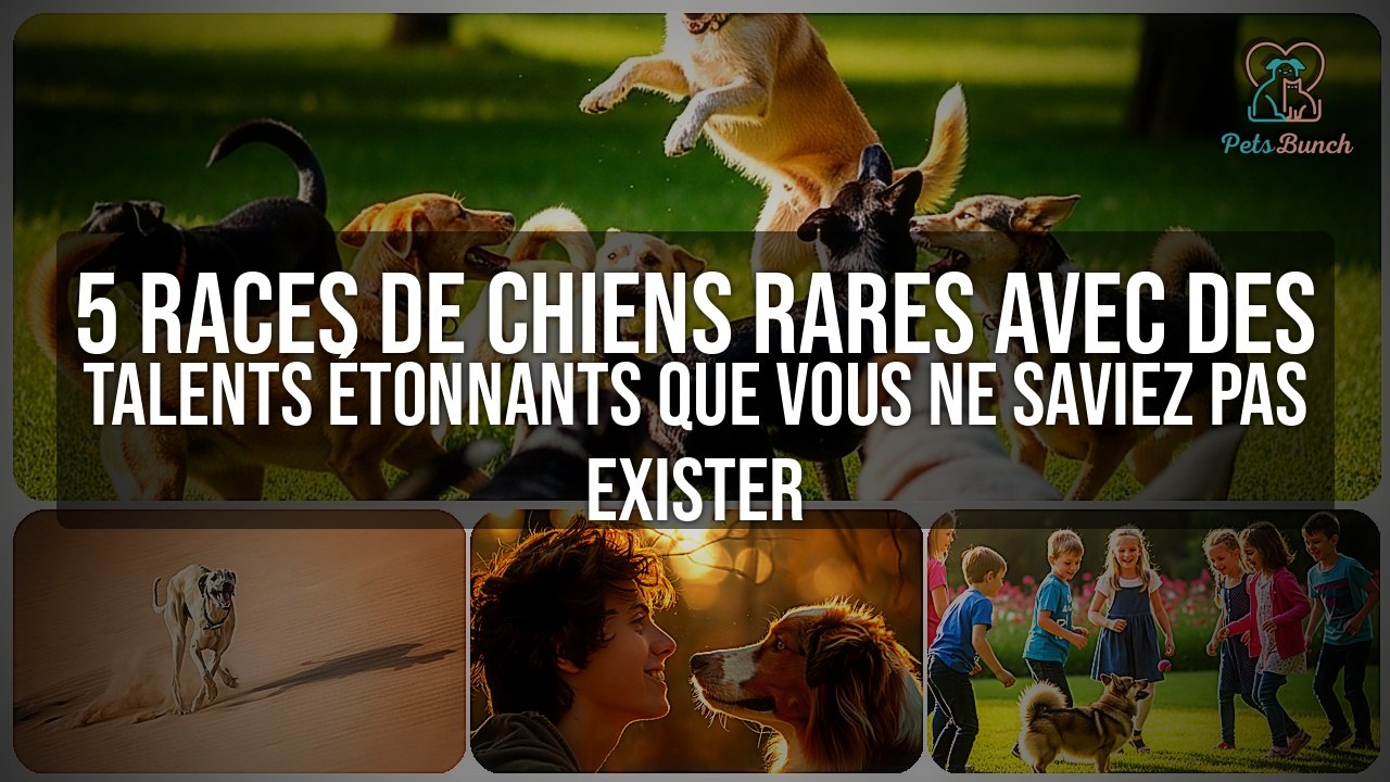 5 Races de Chiens Rares avec des Talents Incroyables Que Vous Ne Saviez Pas Exister