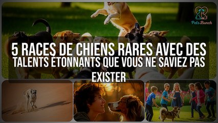 5 Races de Chiens Rares avec des Talents Incroyables Que Vous Ne Saviez Pas Exister