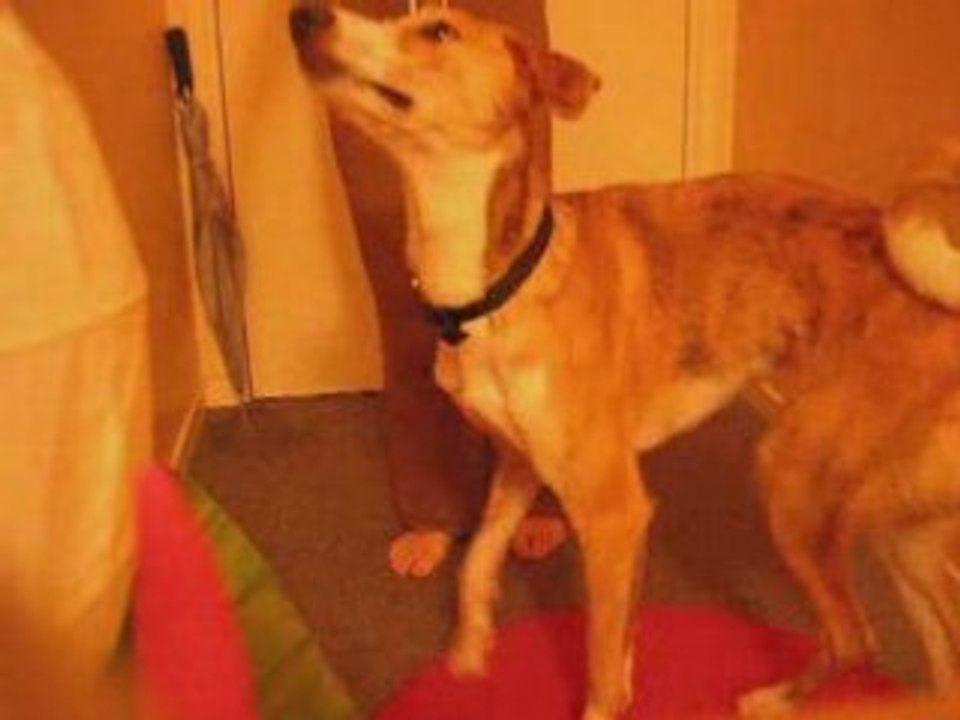 Cache toi et cercle arrière