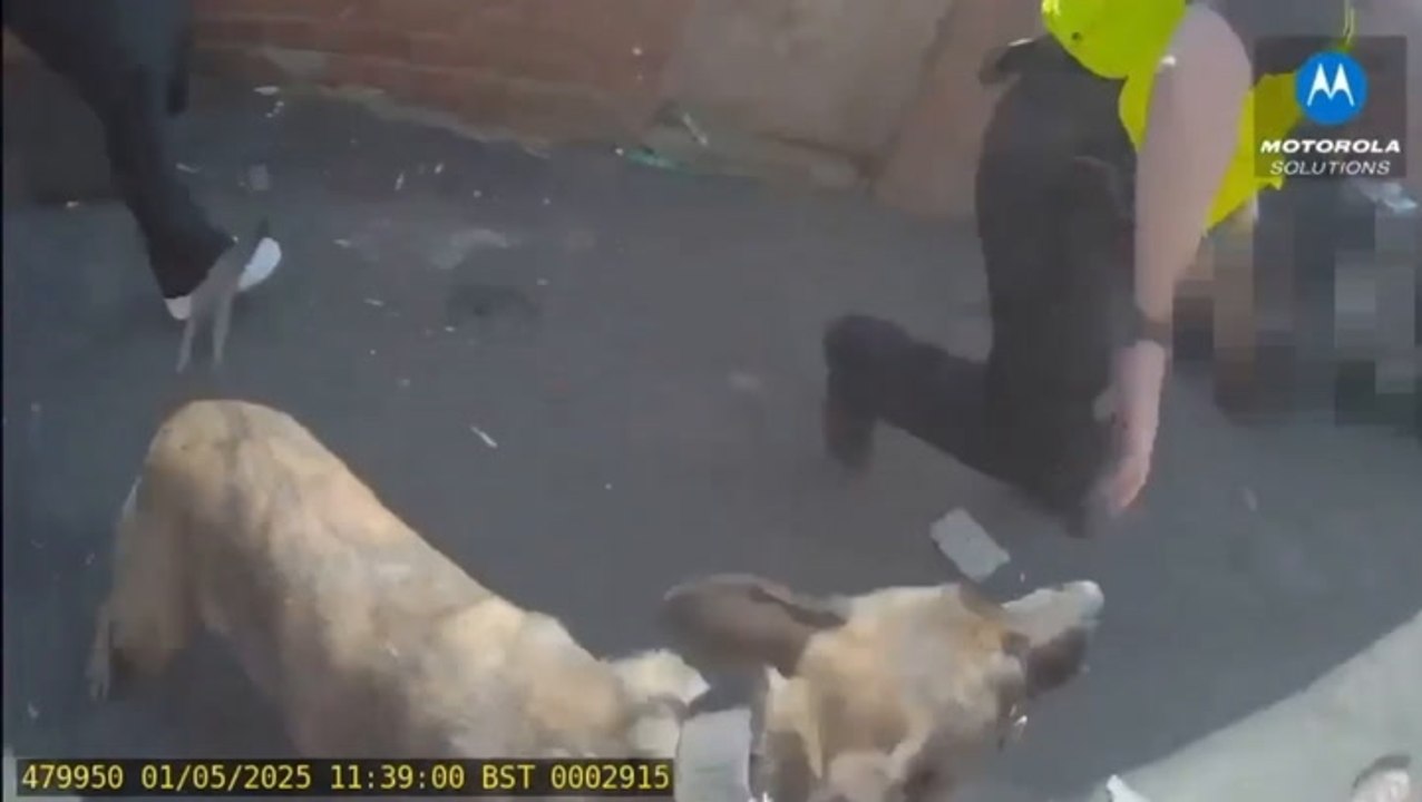 Dramatic footage shows rugby-playing police officer tackle and arrest wanted man