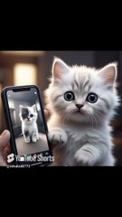 🇺🇸  Watch What Happens When a Kitten Gets a Phone!🤣😹☎️📞