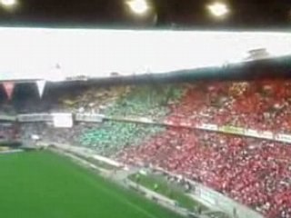 Psg st etienne  tifo
