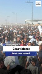 Professor: Gaza violence fuels new hatred