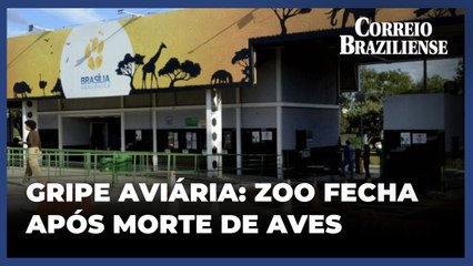 Zoológico de Brasília fecha temporariamente por suspeita de gripe aviária