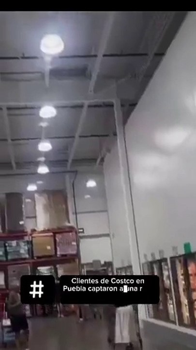 Rata gigante llega a Costco
