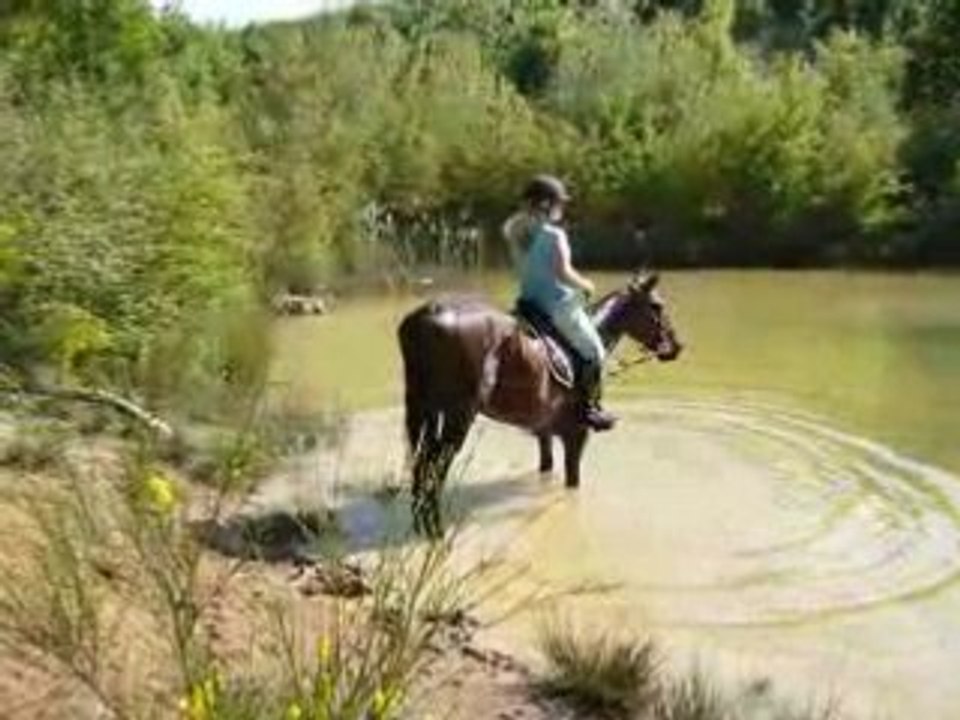 New dans l'eau