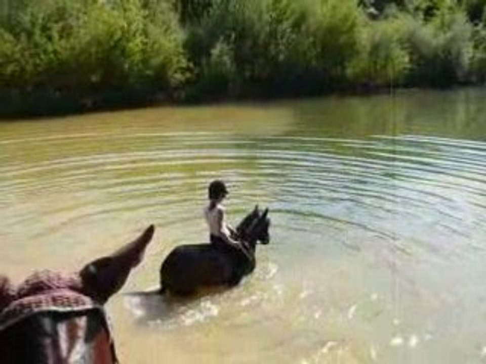 mimi dans l'eau