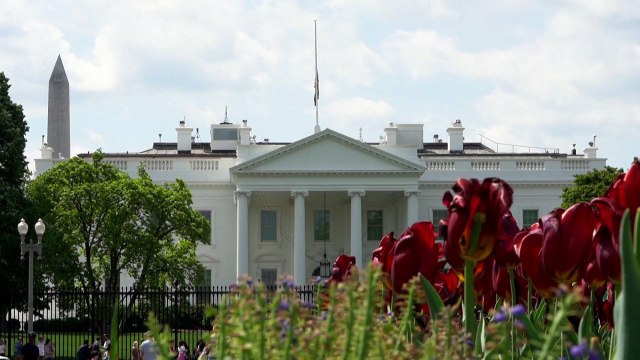 EUA: Israel aceitou plano para um cessar-fogo em Gaza, enquanto Hamas discute a proposta