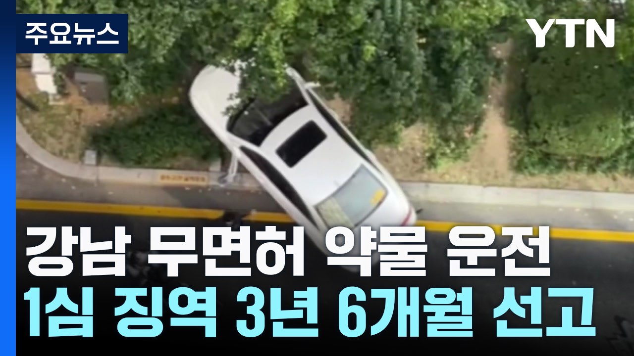 강남 '무면허 약물 운전' 20대 징역 3년 6개월..."심신미약 아냐" / YTN