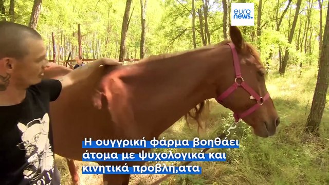 Ουγγαρία: Ουκρανοί πρόσφυγες με αναπηρίες και ψυχικά προβλήματα φιλοξενούνται σε φάρμα