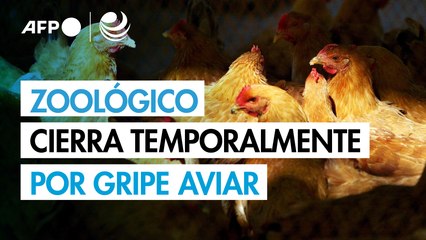Zoológico de Brasilia cierra temporalmente por sospecha de gripe aviar