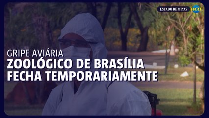 Zoológico de Brasília fecha temporariamente por suspeita de gripe aviária
