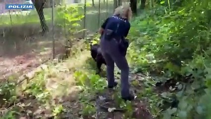 Bologna - FIOCCANO ARRESTI ANTI-SPACCIO GRAZIE A SEGNALAZIONI A 'YOUPOL' -2- (29.05.25)