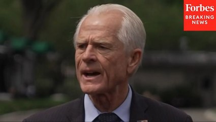 'We Just Violently Disagree With The Court On That': Peter Navarro Bashes Ruling On Tariffs